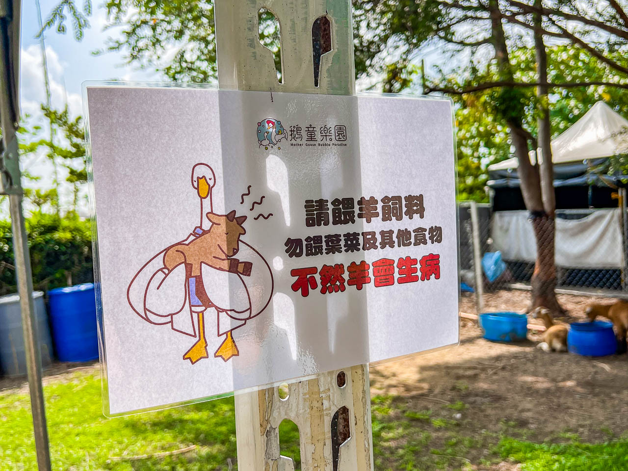 雲林景點,鵝媽媽鵝童樂園