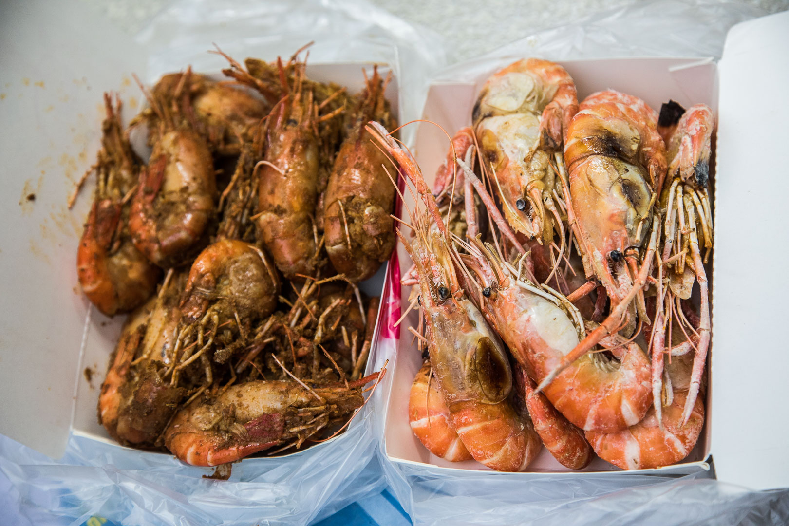 中和美食,中和活蝦,中和景點,中和胡椒蝦,中和泰國蝦,中和景安活蝦之家 @大手牽小手。玩樂趣