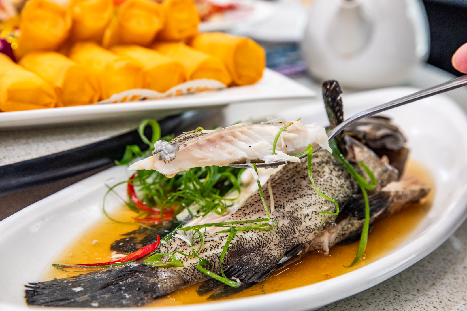 新店美食,宸軒園粵菜海鮮中興店
