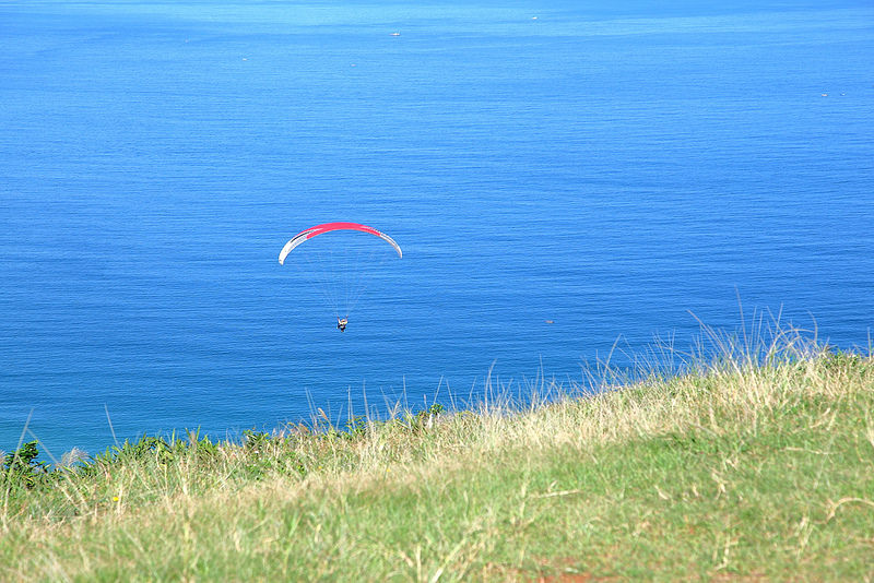 DPP_356