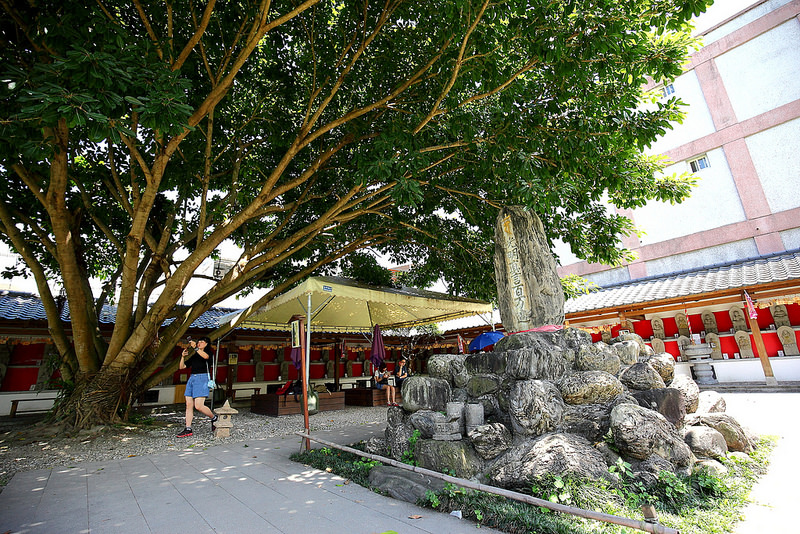 DPP_314