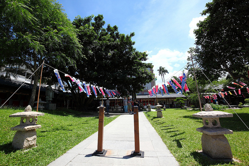 DPP_309